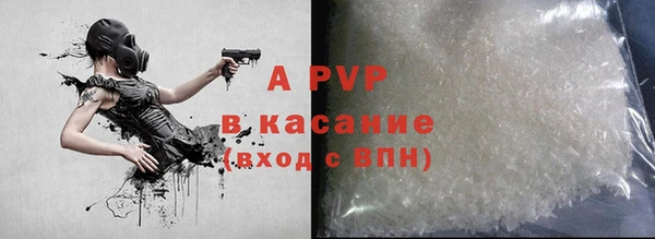 гашик Нея