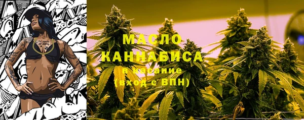 гашик Нея