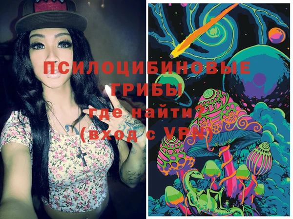 гашик Нея