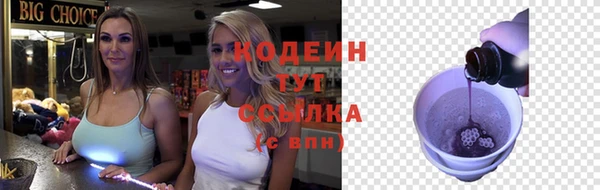гашик Нея
