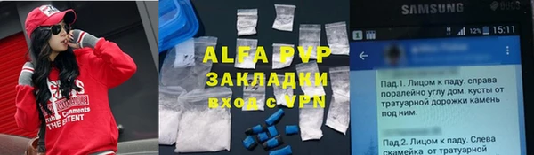 гашик Нея
