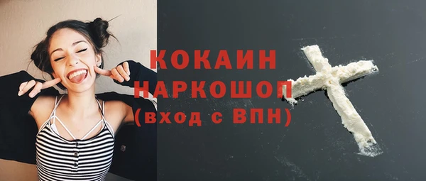 гашик Никольск