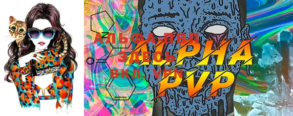 гашик Нея